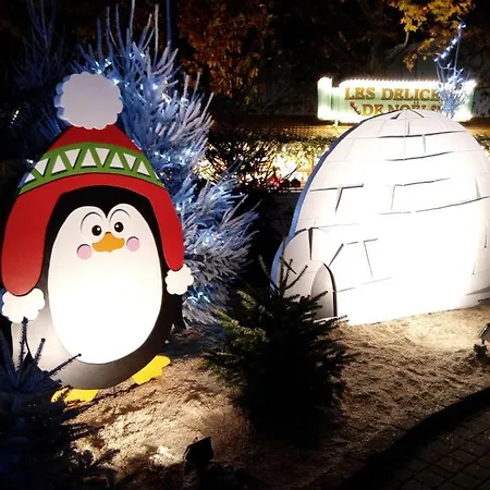 Home-sweet-home Apartment