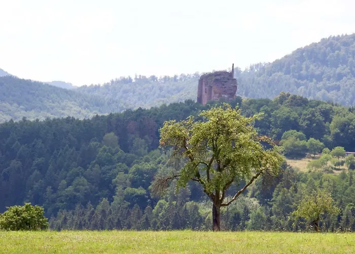 Home-sweet-home Haguenau